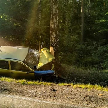 Bełchatowski policjant w drodze na służbę zareagował na zagrożenie