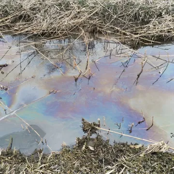 Strażacy z KSRG OSP Kamieńsk usuwali zagrożenie chemiczno- ekologiczne