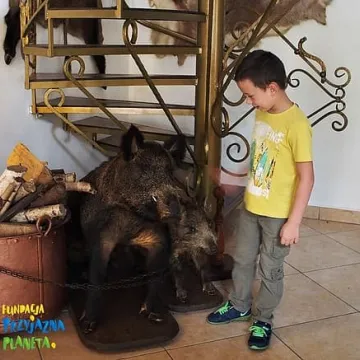 Terapia lasem już działa