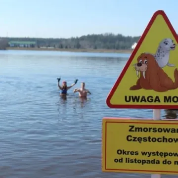 Wielkie morsowanie w Zakrzówku