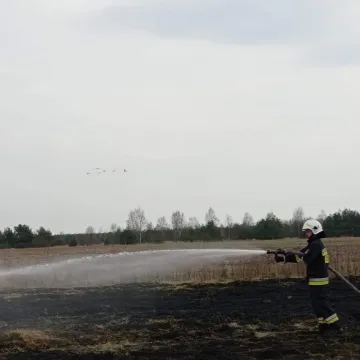 Pożar suchej trawy w miejscowości Górki