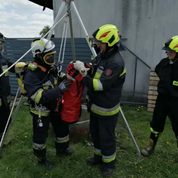 Strażacy uratowali kota z dwudziestometrowej studni
