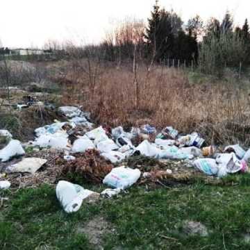 Śmieci straszą przy drodze na Suchą Wieś. Kto je posprząta?