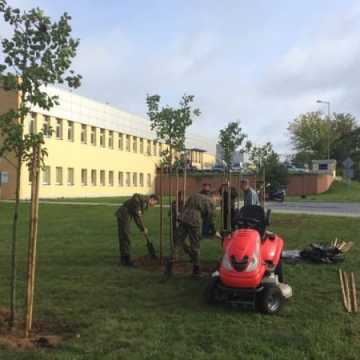 Uczniowie sadzili drzewka