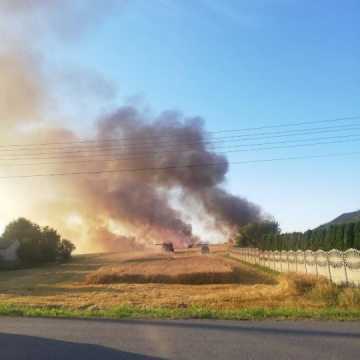 Pożar w Amelinie. W płomieniach 3 hektary zboża