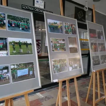 Studenci RUTW „Wiem więcej” przygotowali wystawę choinek w MDK