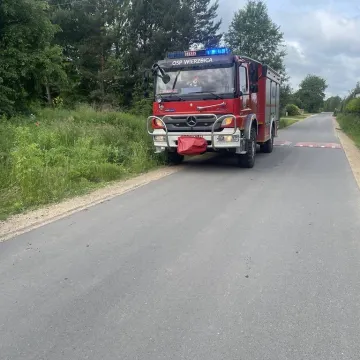 Powalone drzewo w Tomaszowie. Interweniowały dwie jednostki straży