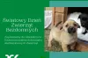 4 kwietnia - Światowy Dzień Bezdomnych Zwierząt