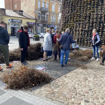 Zielone Radomsko. Darmowe sadzonki dla mieszkańców