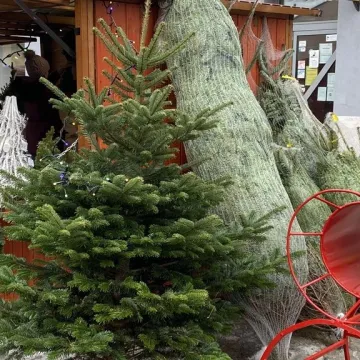 W Radomsku rozpoczął się Jarmark Bożonarodzeniowy