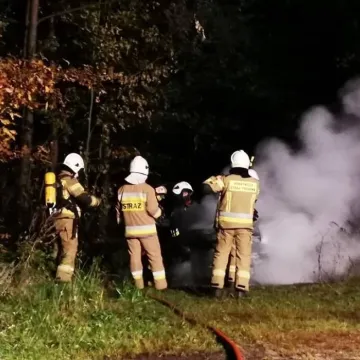Samochód doszczętnie spłonął. Doszło do podpalenia?