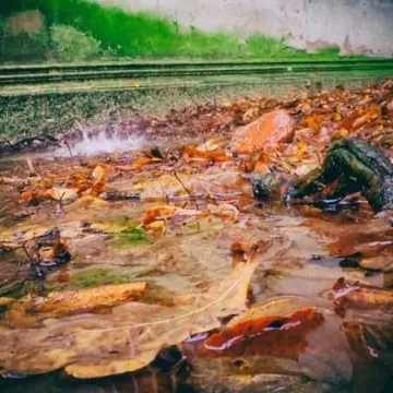 Plener fundacji FotoPozytyw