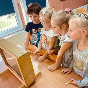 Warsztaty pszczelarskie w przedszkolu nr 4