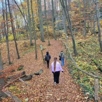 Inspiracja na Jurajskim Szlaku