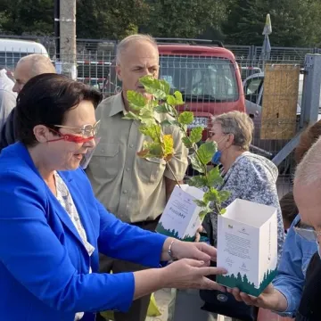 Poseł Anna Milczanowska rozdawała sadzonki z autografem pary prezydenckiej