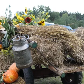 Społeczność Szczepocic dziękowała za plony
