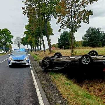 [WIDEO] Sarna wybiegła na drogę. Samochód dachował