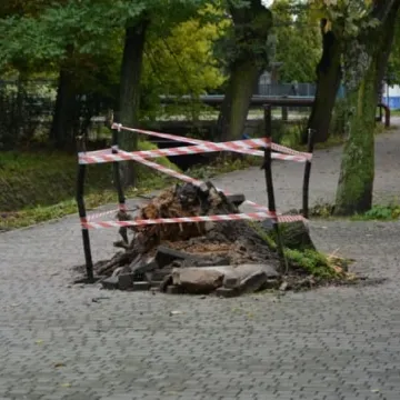 Trwa sprzątenie po Ksawerym w Radomsku