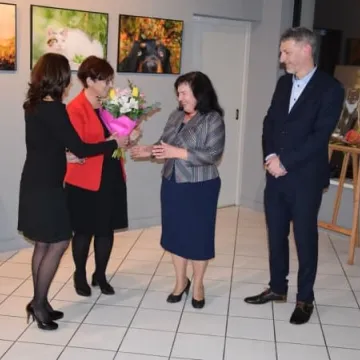 Cztery łapy w obiektywie 