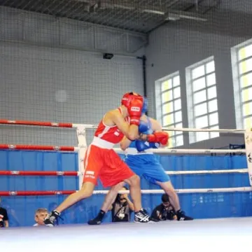 Boks królował w Radomsku