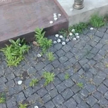 Bałagan na ścieżce do pomnika na Kopcu