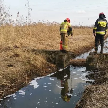 Substancja ropopochodna w rzece Kamionce