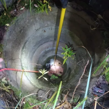 Strażacy uratowali psa i lisa uwięzionych w studni