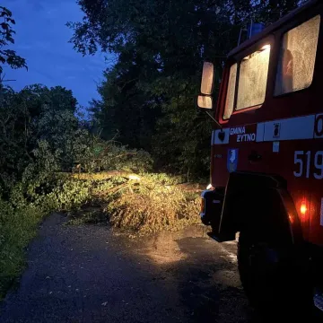 Nawałnica przeszła przez region. Powalone drzewa, uszkodzone dachy