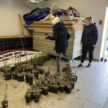 Oddali puszki, otrzymali sadzonki