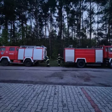 Nad ranem palił się budynek gospodarczy w Szczepocicach Rządowych