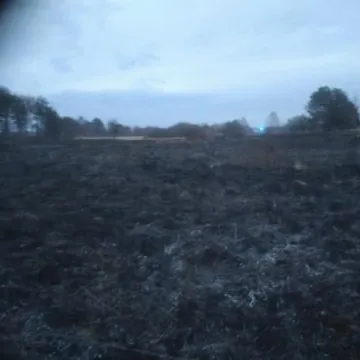 Pożary poszycia leśnego