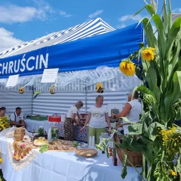 Słodka zabawa z miodem w Gomunicach