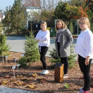 Ekopracownia pod chmurką w PSP nr 9 w Radomsku już działa