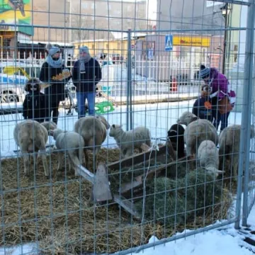 Orszak Trzech Króli 2017 na ulicach Radomska