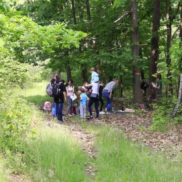 Ścieżka zagadek w „Tajemniczym lesie” pokonana