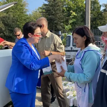 Poseł Anna Milczanowska rozdawała sadzonki z autografem pary prezydenckiej