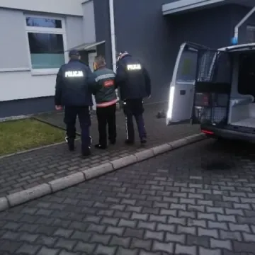 Kradł pieniądze i rowery. Został zatrzymany