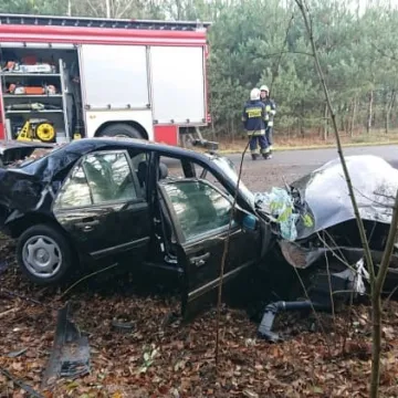 W kierunku Brudzic uderzyła w drzewo