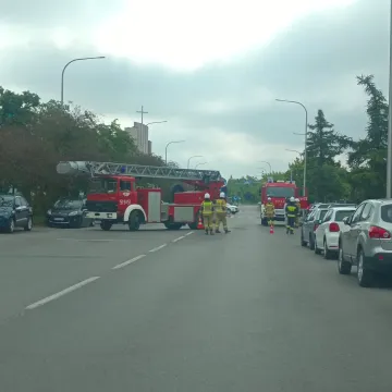 Gniazdo os na budynku ZUS w Radomsku