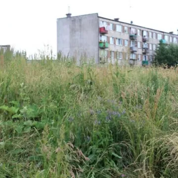 Zarośnięty „Wielorybek” nie zachęca