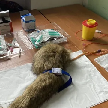 Szkoła rolnicza w Dobryszycach otworzyła drzwi