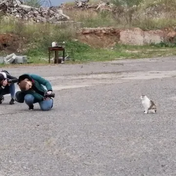 Foto Pozytyw edukuje w Niechcicach