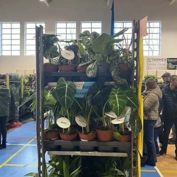 Rośliny opanowały Radomsko. Festiwal Roślin odbył się po raz pierwszy