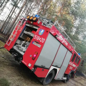 Pożar lasu w Małej Wsi