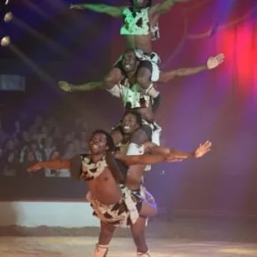 Zgarnij wejściówkę do Cyrku Safari