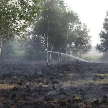 Pożar łąk na Dąbrówce 
