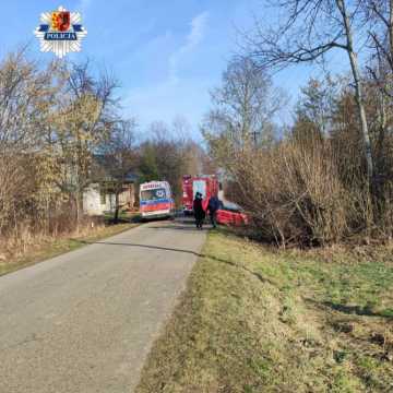 Zdarzenie drogowe w miejscowości Huta Drewniana Kolonia. 19-latek był pijany