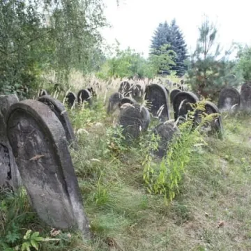 Kirkut odkrywa swoje tajemnice