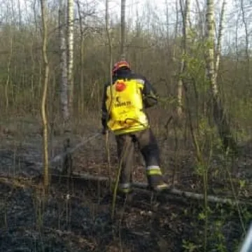 Bogusławów - pożar lasu i traw