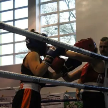 Boks królował w Radomsku